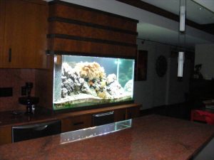 Fish aquarium in a living room