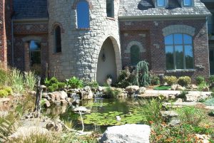 Colorful pond arrangement